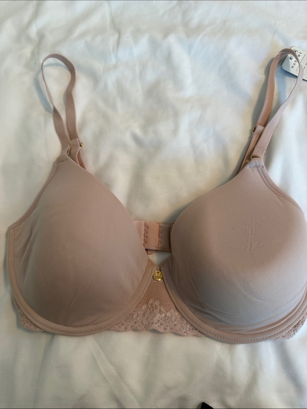 Natori Padded T-Shirt Bra in Blush Nude